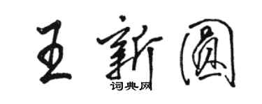 駱恆光王新圓行書個性簽名怎么寫