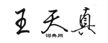 駱恆光王天真行書個性簽名怎么寫