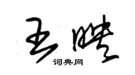 朱錫榮王映草書個性簽名怎么寫