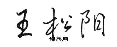 駱恆光王松陽行書個性簽名怎么寫