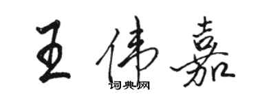 駱恆光王偉嘉行書個性簽名怎么寫