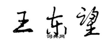 曾慶福王東望行書個性簽名怎么寫