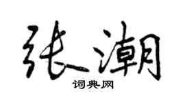 曾慶福張潮行書個性簽名怎么寫