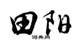 胡問遂田陽行書個性簽名怎么寫