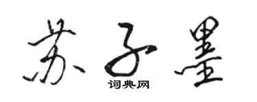 駱恆光蘇子墨行書個性簽名怎么寫