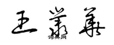 曾慶福王叢華草書個性簽名怎么寫