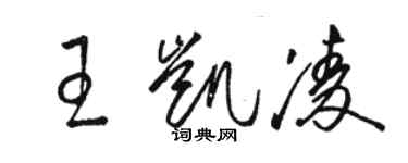 駱恆光王凱凌草書個性簽名怎么寫