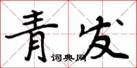 周炳元青發楷書怎么寫