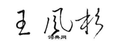 駱恆光王風杉草書個性簽名怎么寫