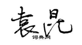 曾慶福袁昆行書個性簽名怎么寫