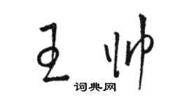 駱恆光王帥草書個性簽名怎么寫