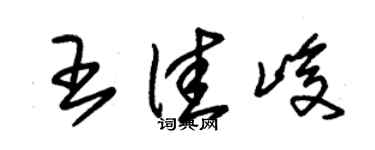 朱錫榮王佳峻草書個性簽名怎么寫