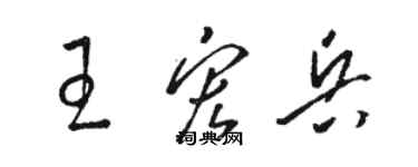 駱恆光王宏兵草書個性簽名怎么寫