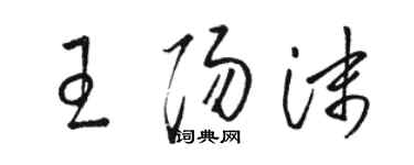 駱恆光王陽沫草書個性簽名怎么寫