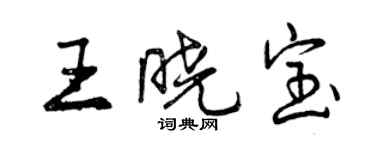 曾慶福王曉寶行書個性簽名怎么寫