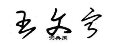 朱錫榮王文寧草書個性簽名怎么寫