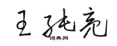 駱恆光王純亮草書個性簽名怎么寫