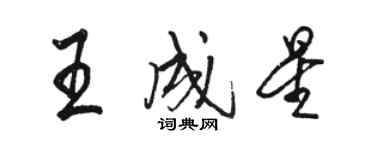 駱恆光王成星行書個性簽名怎么寫