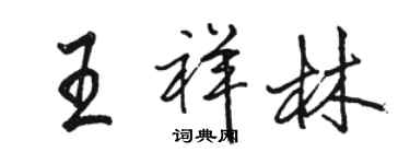 駱恆光王祥林行書個性簽名怎么寫