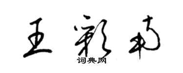 梁錦英王彩南草書個性簽名怎么寫