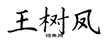 丁謙王樹鳳楷書個性簽名怎么寫