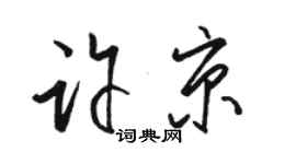 駱恆光許京草書個性簽名怎么寫
