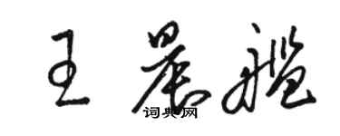 駱恆光王晨艦草書個性簽名怎么寫