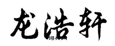 胡問遂龍浩軒行書個性簽名怎么寫