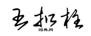 朱錫榮王扣柱草書個性簽名怎么寫