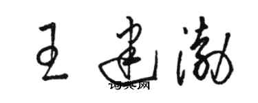 駱恆光王建渤草書個性簽名怎么寫