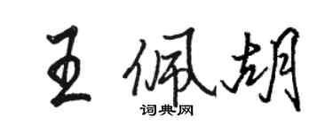 駱恆光王佩胡行書個性簽名怎么寫