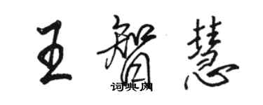 駱恆光王智慧行書個性簽名怎么寫