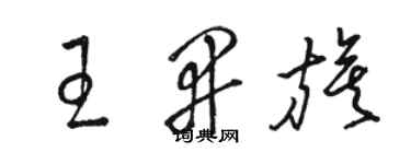 駱恆光王開旗草書個性簽名怎么寫