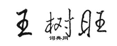 駱恆光王樹旺行書個性簽名怎么寫