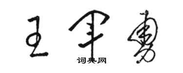 駱恆光王軍勇草書個性簽名怎么寫
