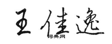駱恆光王佳逸行書個性簽名怎么寫
