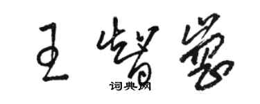 駱恆光王智崗草書個性簽名怎么寫