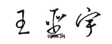 駱恆光王聖宇草書個性簽名怎么寫