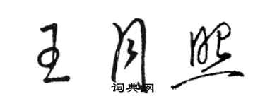 駱恆光王月照草書個性簽名怎么寫