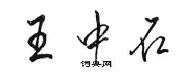 駱恆光王中石行書個性簽名怎么寫