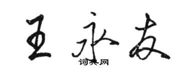 駱恆光王永友行書個性簽名怎么寫