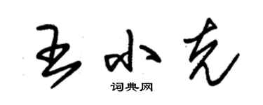 朱錫榮王小克草書個性簽名怎么寫