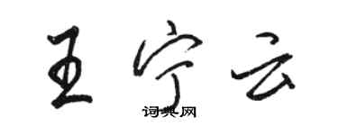 駱恆光王寧雲行書個性簽名怎么寫