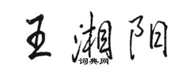 駱恆光王湘陽行書個性簽名怎么寫