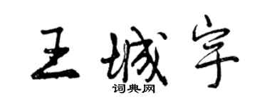 曾慶福王城宇行書個性簽名怎么寫
