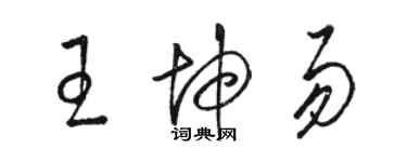 駱恆光王坤易草書個性簽名怎么寫