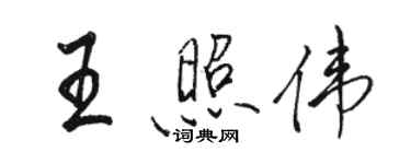 駱恆光王照偉行書個性簽名怎么寫