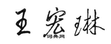 駱恆光王宏琳行書個性簽名怎么寫