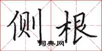 田英章側根楷書怎么寫