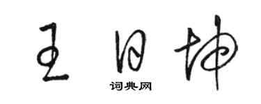 駱恆光王日坤草書個性簽名怎么寫